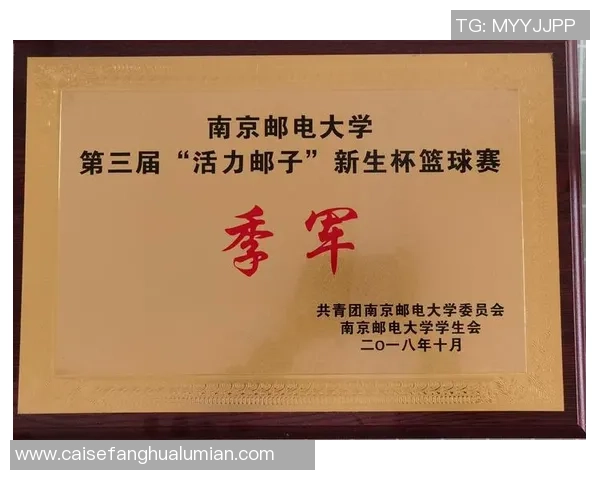 南京篮球队杯赛战术分析与表现评估全面解读