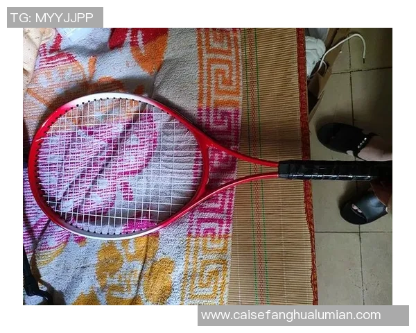 张丽独家分享网球心得与技巧助你提升球技的完美指南