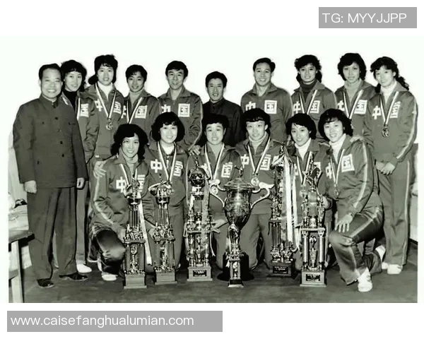 杭州排球队的拼搏之路：世界杯背后的奋斗与荣耀